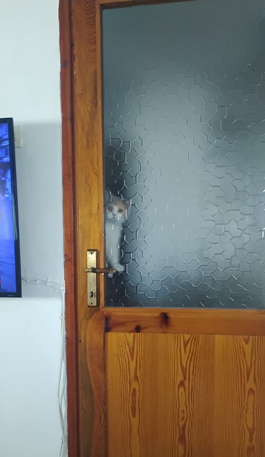 Beyefendi kapıyı açar mısınız?