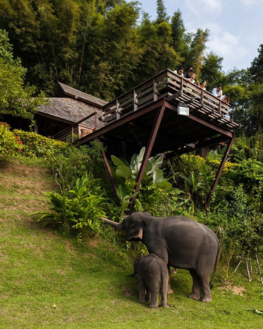 Dik yamaçta yerel zanaatla inşa edilen Hill Lodge