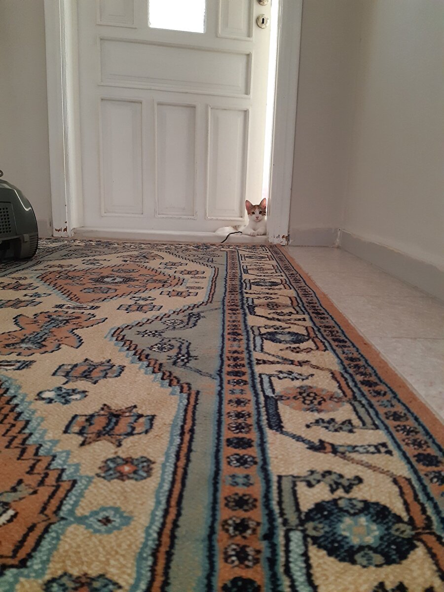 Kolay yolunu bulmuş