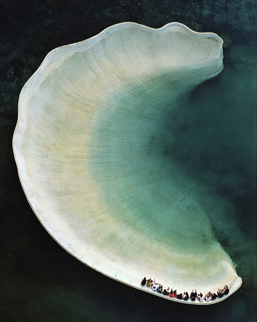 Yapay zekâ destekli The Shell projesi kabuk formunda kurgusal yapılar içeriyor