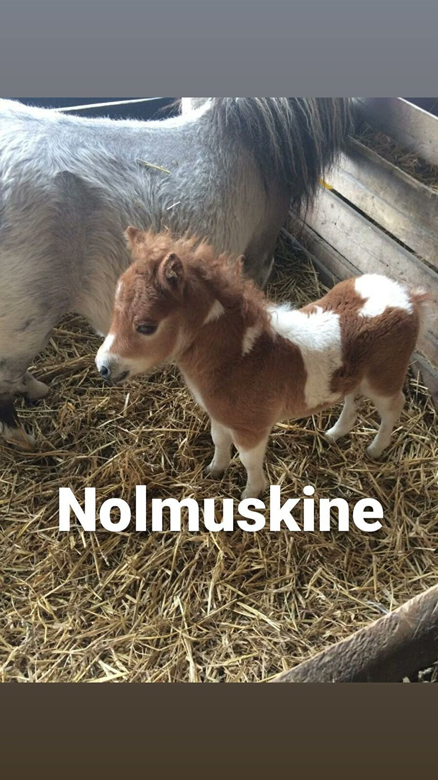 Annem bize bilmemesi gereken bir konuda soru yöneltince bizdir