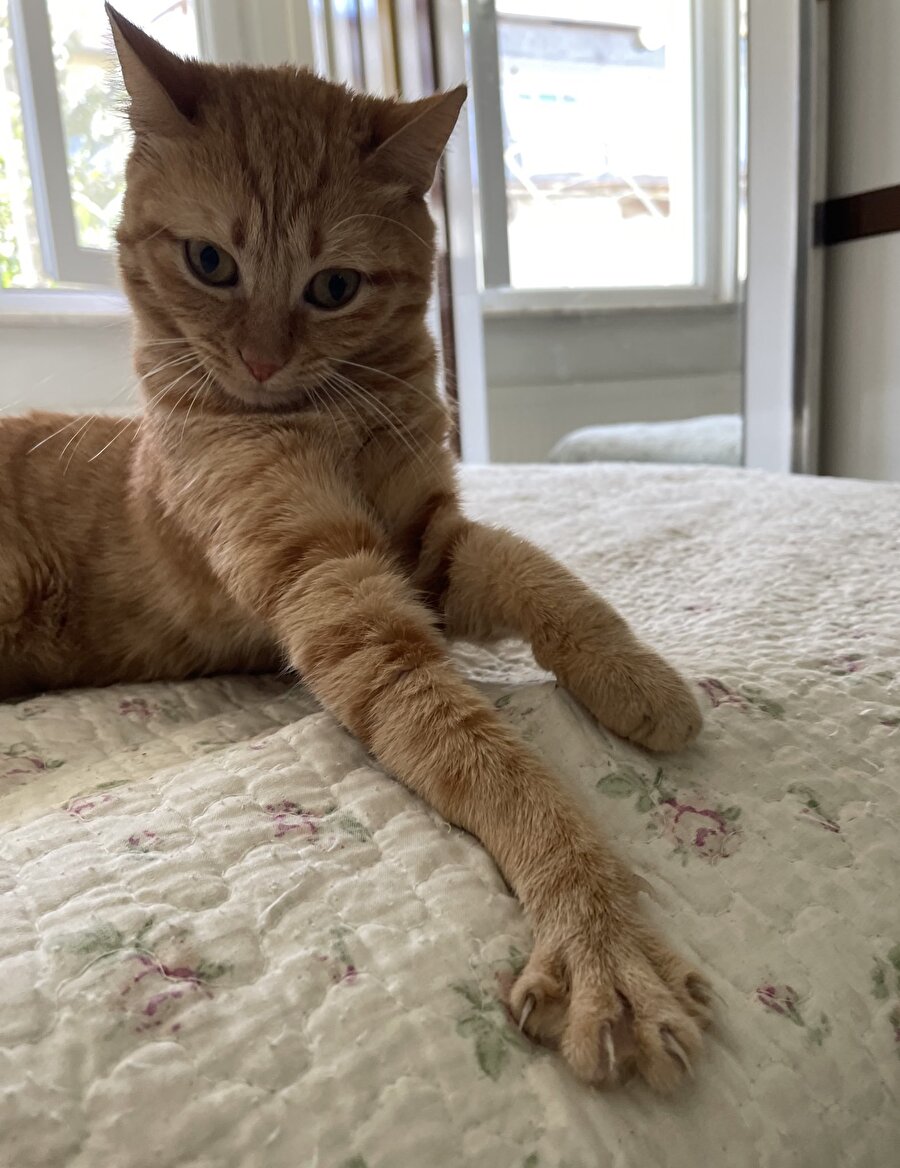 Tırnaklarını gösteriyor