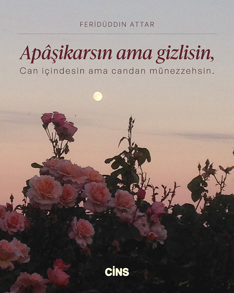 Ferîdüddin Attâr'dan görünür ama saklı olana dair