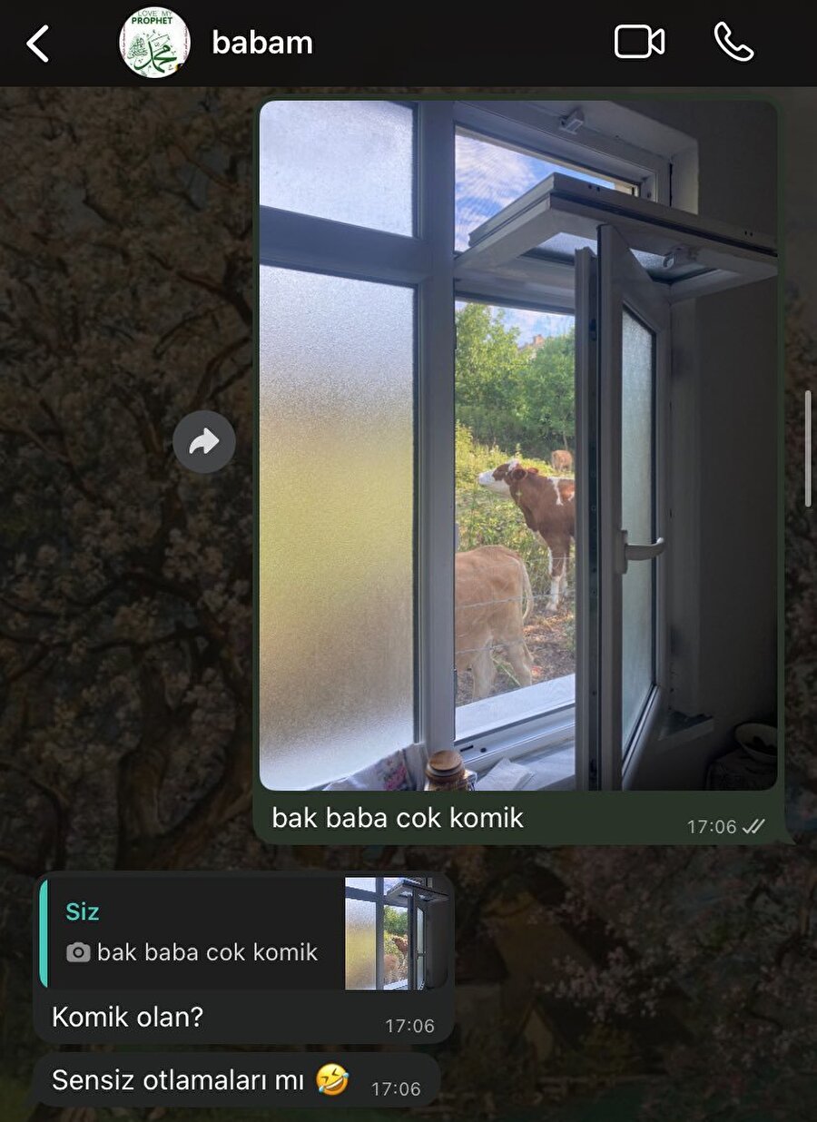 Babalar neden böyle?