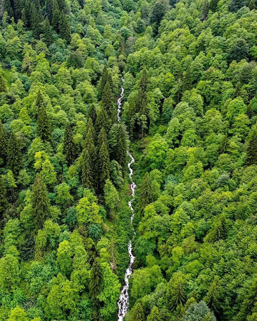 Trabzon’un sisli manzarasının içinde: Maçka 📍