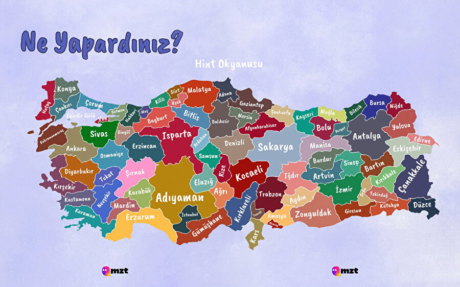 Siz ne yapardınız