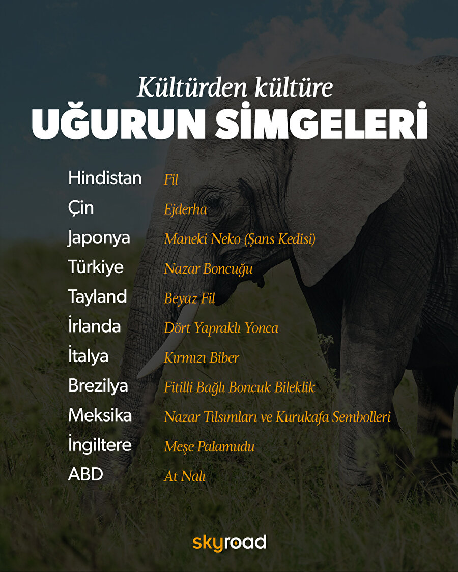 Ülkeler ve uğurlu simgeleri ✨