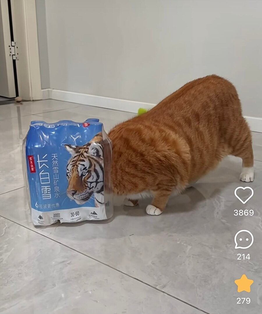 Memati maske taksan da o sıfat belli oluyor