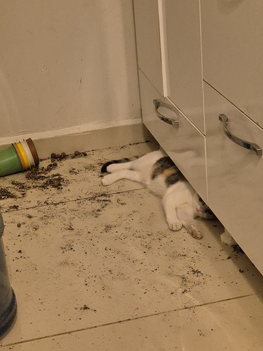 Suçunu gizleyemiyorsan kazanın bir parçası gibi görün