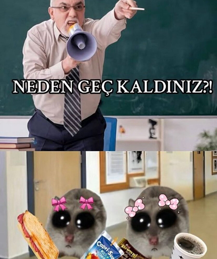 Bizdir