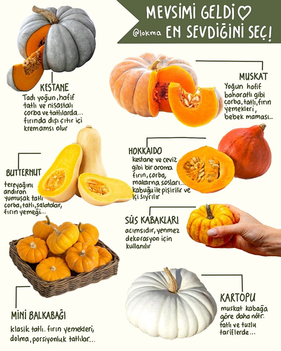 En sevdiğin kabak hangisi?
