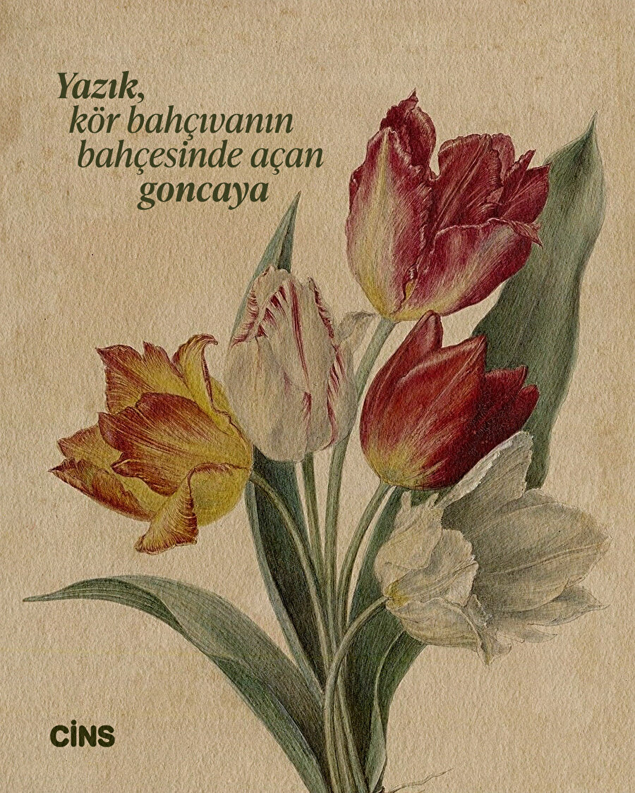 Yazık, kör bahçıvanın bahçesinde açan goncaya