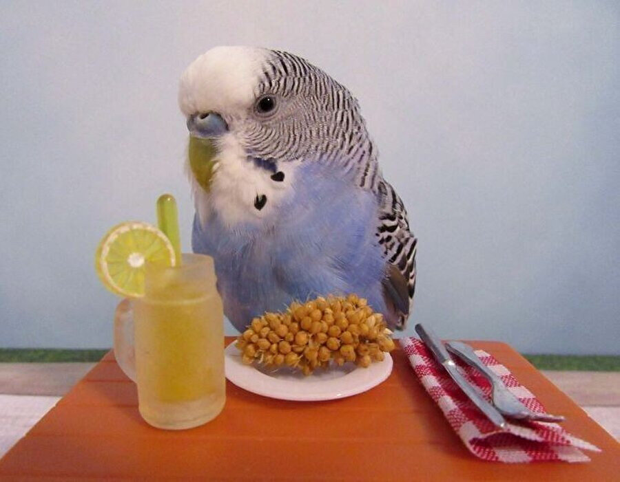 Kahvaltılar yapıldı mı?