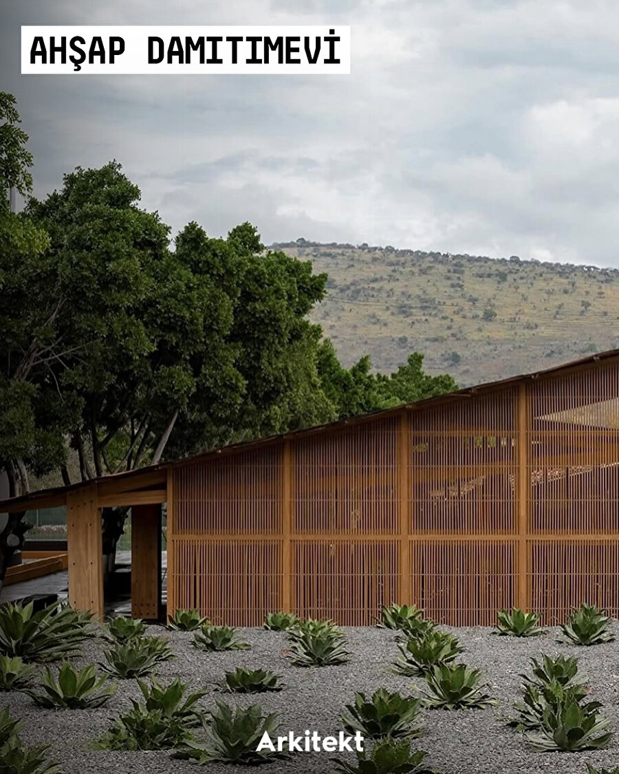 Mezcal Damıtımevi, Sürdürülebilirliği ve Geleneği Birleştiriyor