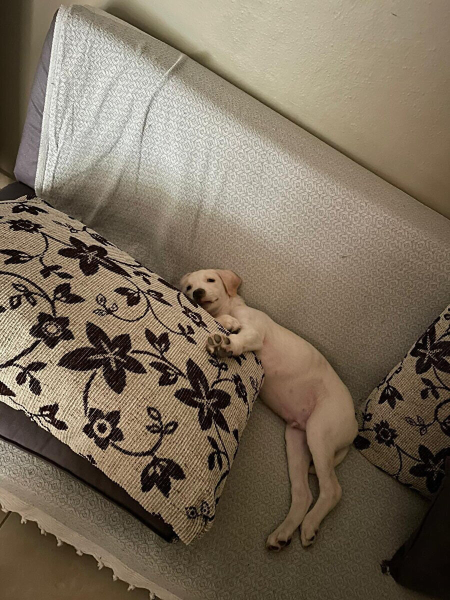 Hayal ettiğimiz hayat