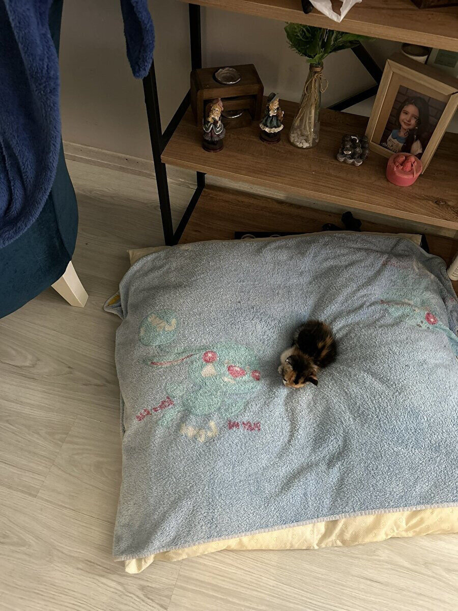 Cüssesine göre yatak seçmiş