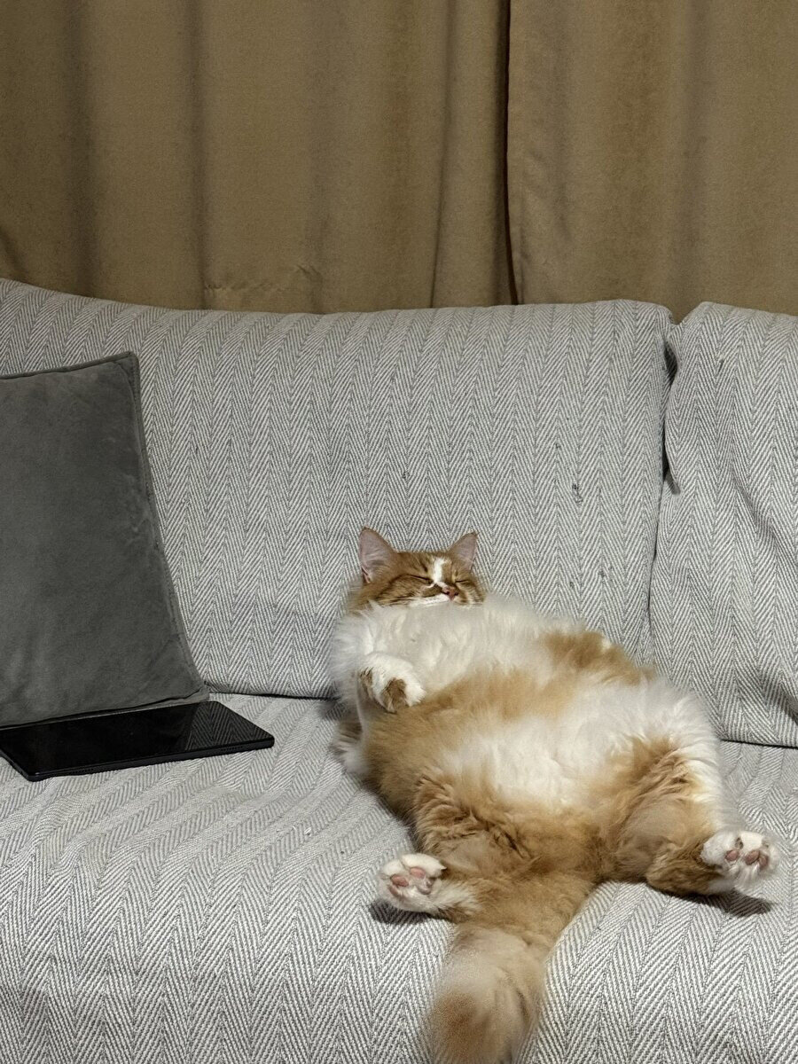 Yemekten sonra koltukta maden suyu beklerken babam