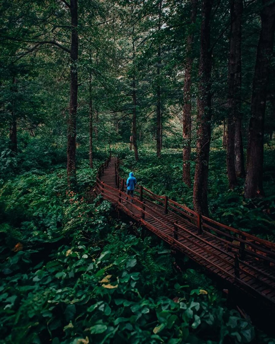Büyüleyici doğanın içinde kalmış patikalar 🍃