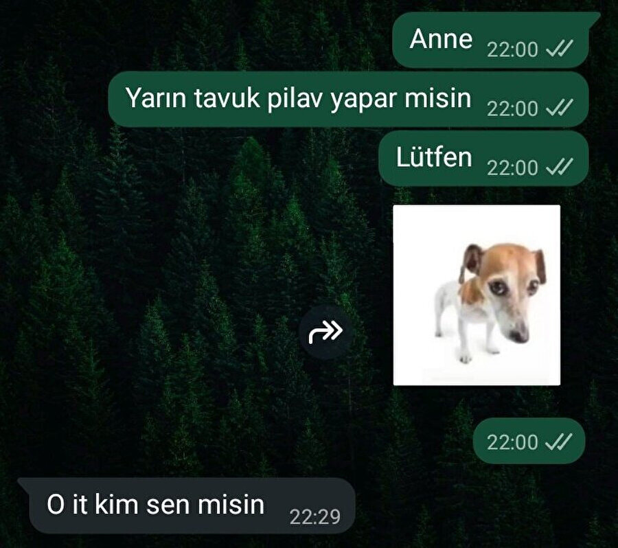 Anne zorbalığı diye bir gerçek var