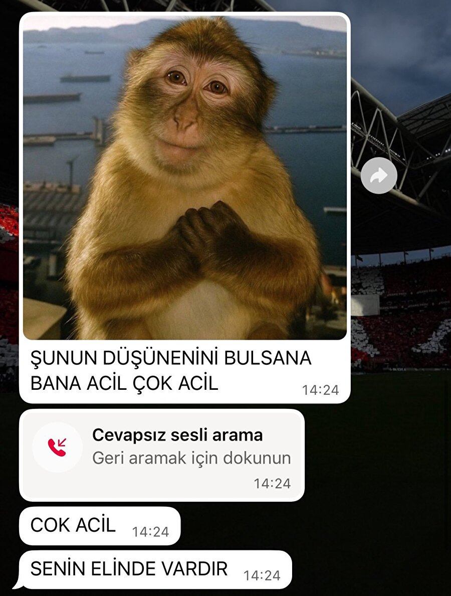 Bu durumun ne gibi bir aciliyeti olabilir