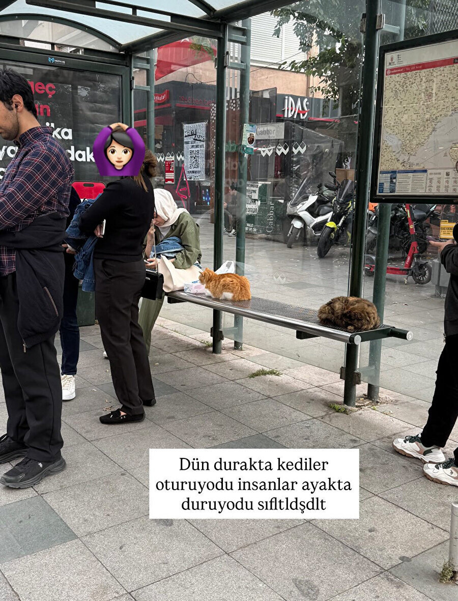 Türkiye'de sıradan bir gün