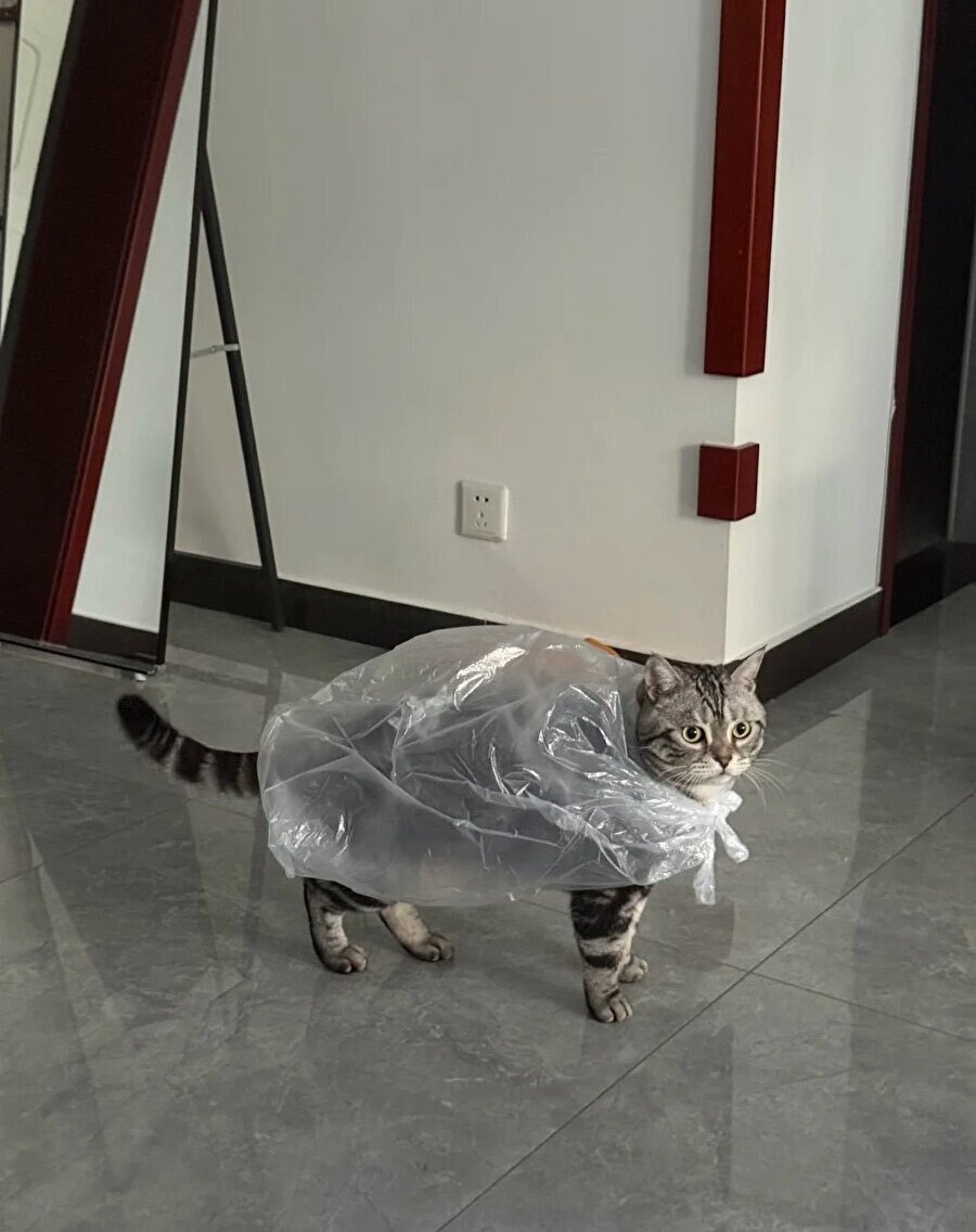 Bazı kahramanlar pelerin takmaz poşet geçirir