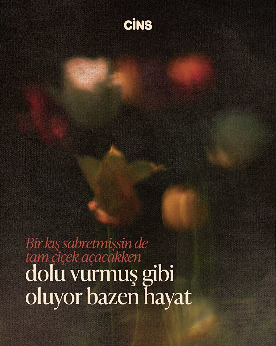 Yeniden filizlenme cesareti