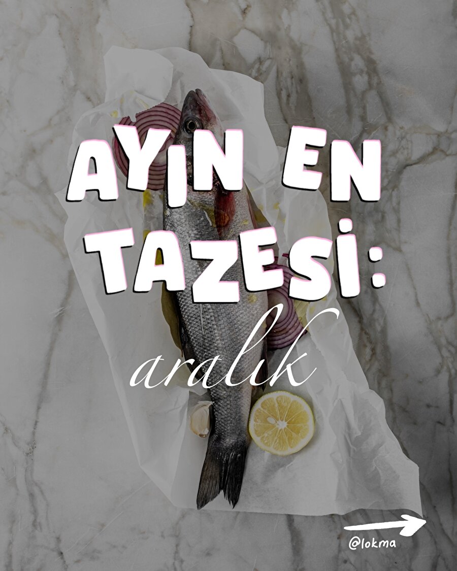 Aralık ayı balıkları