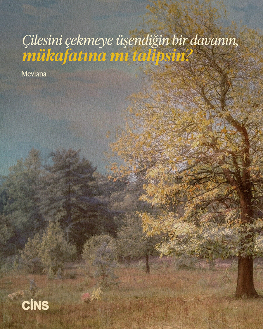 Mevlana'dan mükâfata dair