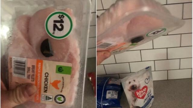 Chris Sedgy finds a surprise waiting for him in his chicken breasts in Australia
