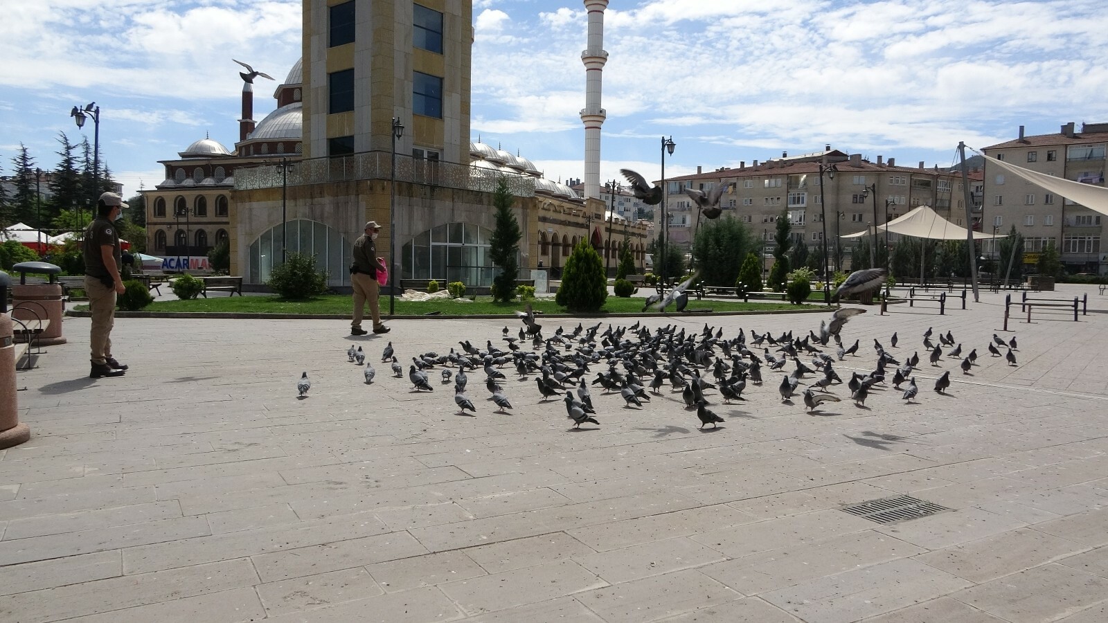 Turks take to streets to feed stray animals during nationwide lockdown
