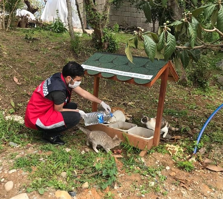 Turks take to streets to feed stray animals during nationwide lockdown
