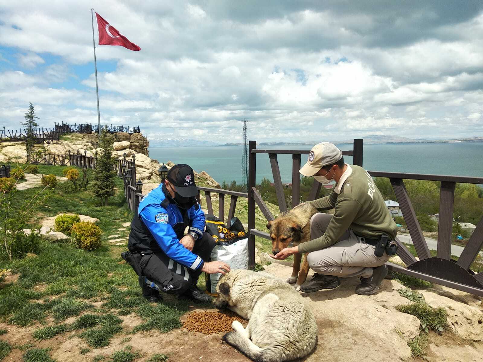 Turks take to streets to feed stray animals during nationwide lockdown
