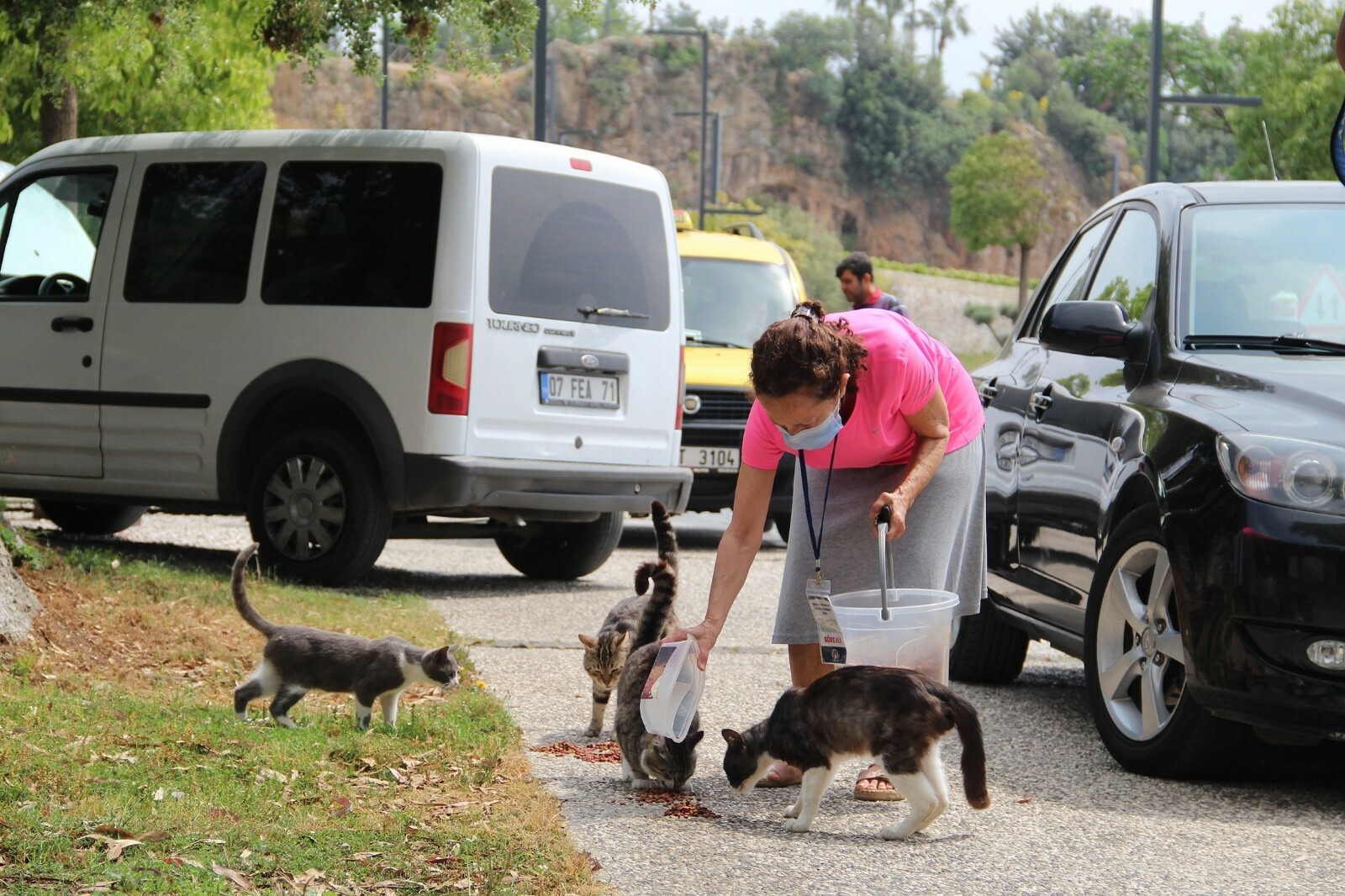 Turks take to streets to feed stray animals during nationwide lockdown
