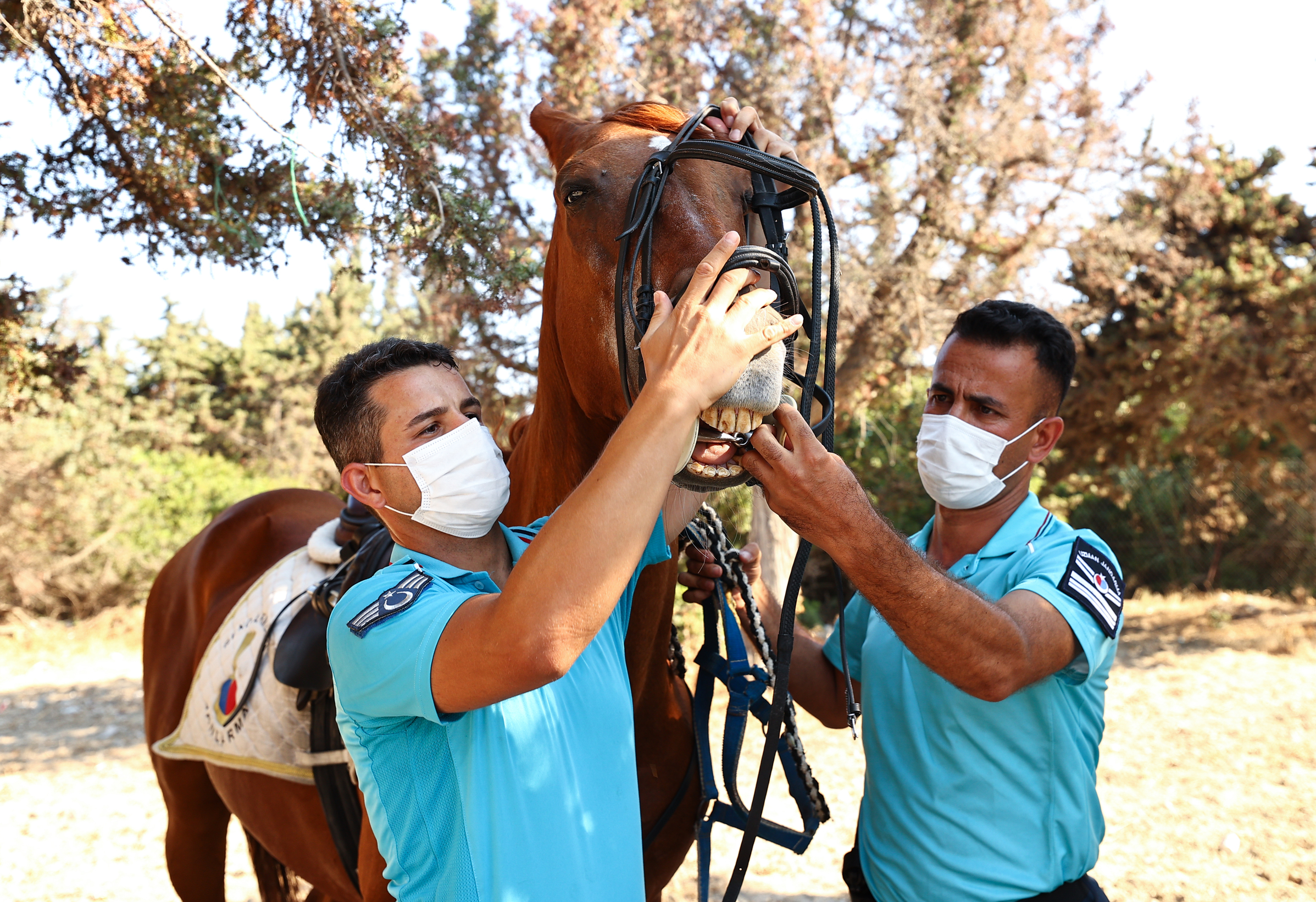 Wild West: Turkish gendarmerie teams secure gorgeous beaches on horseback in Izmir
