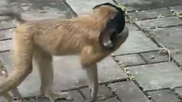 https://img.piri.net/piri/upload/3/2021/8/26/8103a838-nd9dkf3xemspu1271nxegl.jpeg