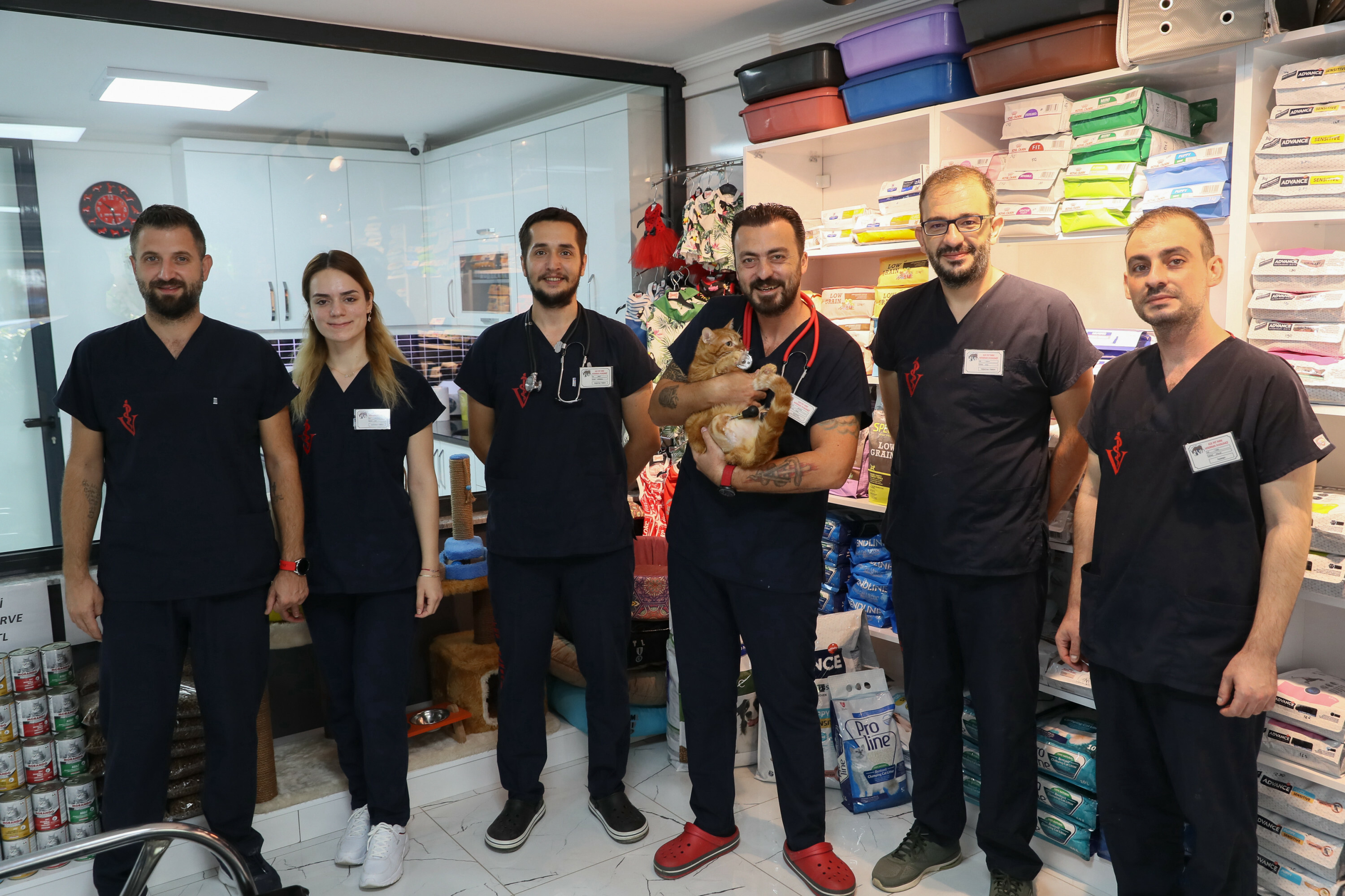 Pika the cat tries on new shoes for prosthesis
