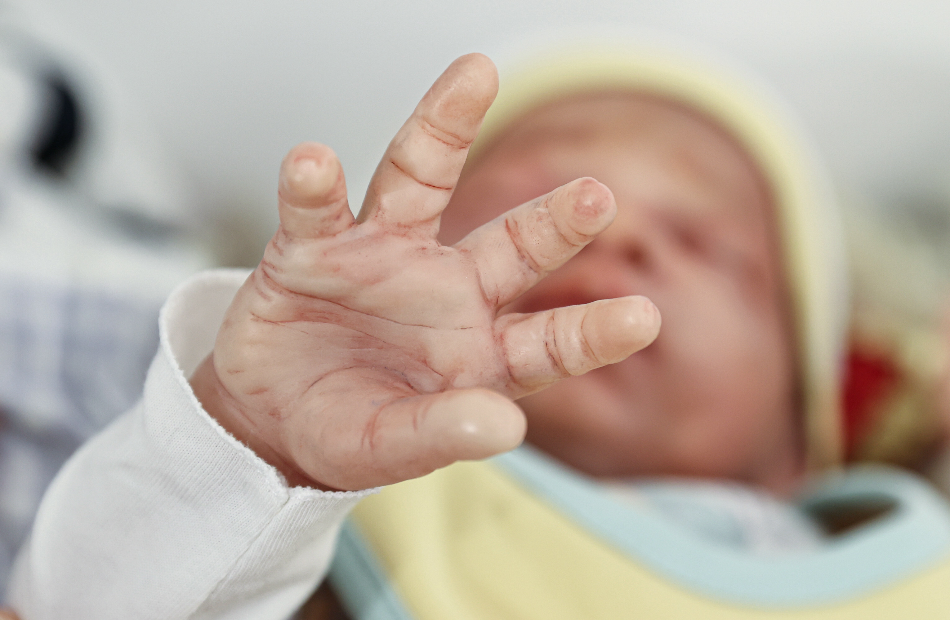 Reborn dolls capture special attention in Istanbul
