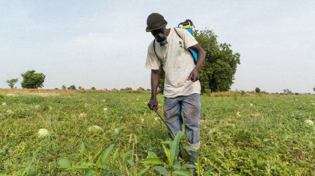 Au Burkina Faso, le Fonds africain de développement va soutenir le projet de développement des chaînes de valeurs avicoles, agricoles et piscicoles @ AFRICA NEWSROOM