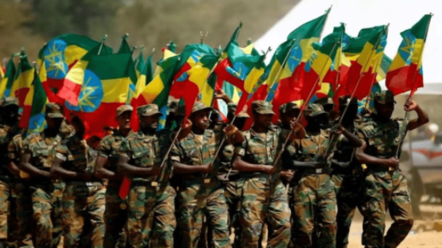 Les forces fédérales éthiopiennes sont engagées dans un conflit acharné avec les forces rebelles du TPLF depuis novembre 2020.
APA