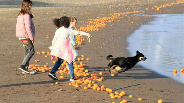 https://img.piri.net/piri/upload/3/2022/3/25/12b57b1a-gn2eelisulat0hu84vjwd.jpeg