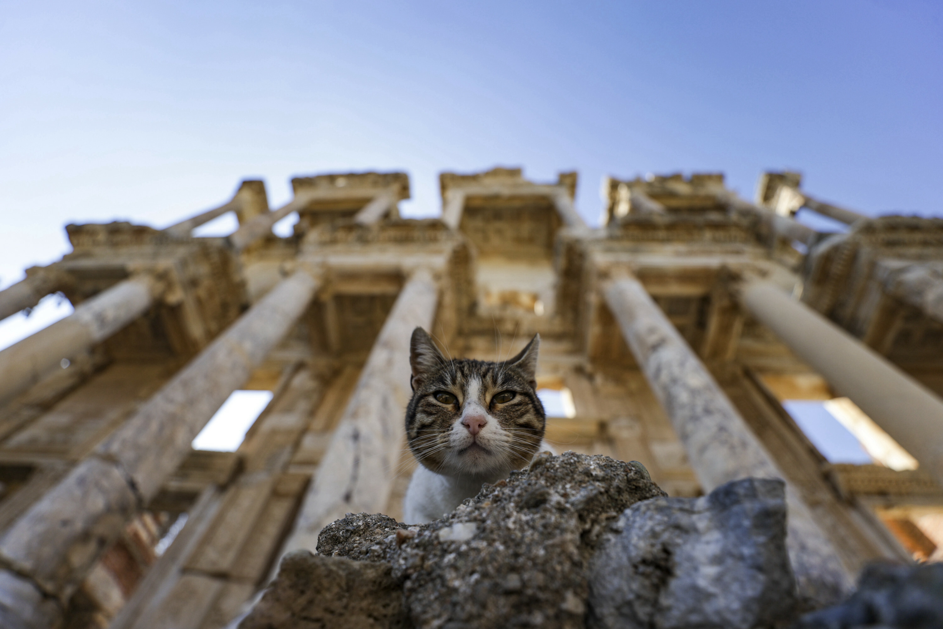 Gods and goddesses: Ephesus Ancient City enraptures visitors in Turkey