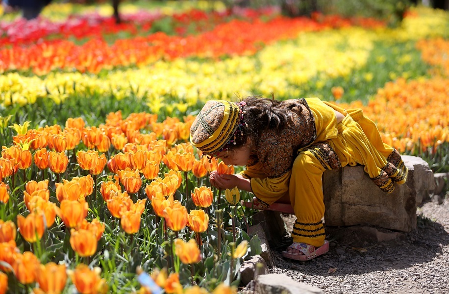 2 million flowers: Iranians delight as vibrant Asara Tulip Festival kicks off
