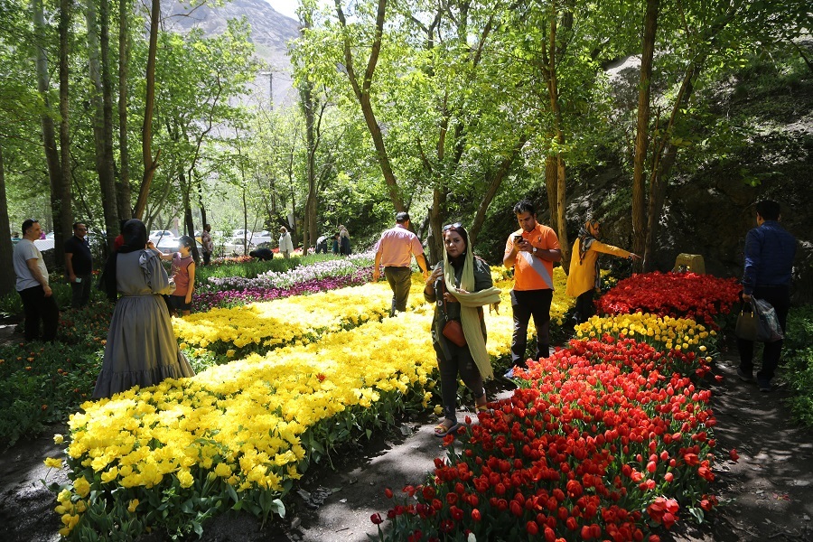 2 million flowers: Iranians delight as vibrant Asara Tulip Festival kicks off