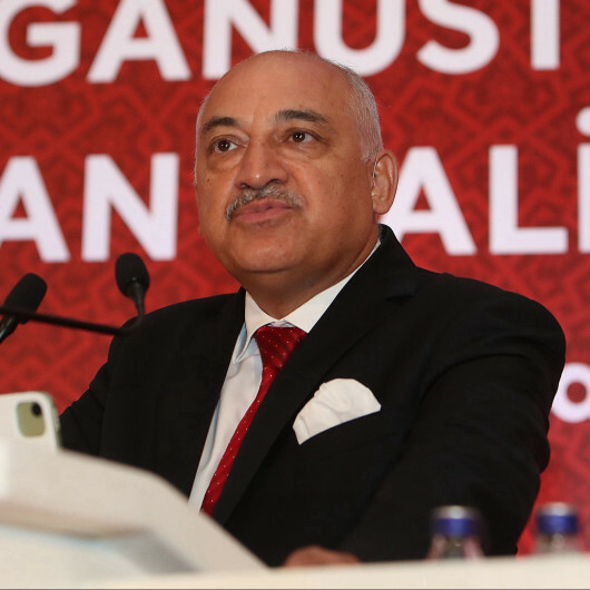 Mehmet Buyukeksi elected new Turkish football head