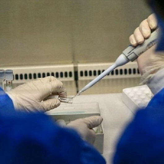 Türkiye has confirmed five cases of monkeypox: Health minister