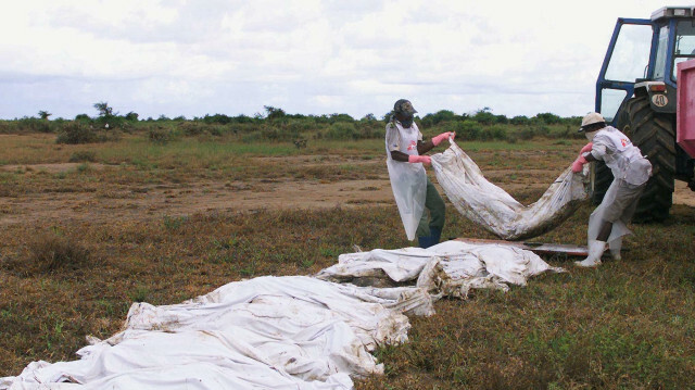 Le cadavre d'une autre victime des inondations près du cimetière de la ville centrale mozambicaine de Chokwe, à environ 180 km au nord de Maputo, le 07 Mars 2000. @ALEXANDER JOE / AFP 