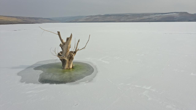 Ardahan ve Kars 5 günlük hava durumu