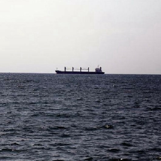 Hong Kong ship sinks off Japan's southwest coast, 9 missing