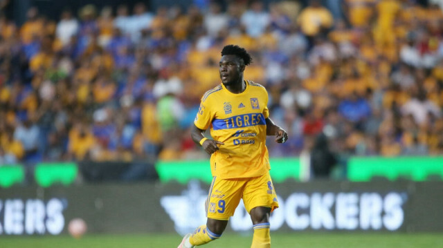 Caicedo, Ekvador milli takımıyla çıktığı 10 maçta 2 gol kaydetti.